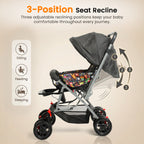 Whimsikidz Joy Ride Stroller