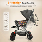 Whimsikidz Joy Ride Stroller